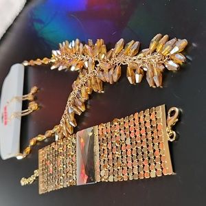 The chameleon necklace. Earrings. The bracelet is like fish scales.